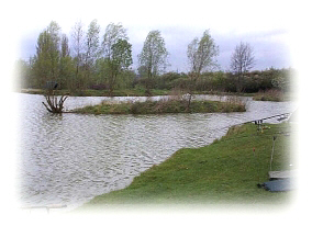 Carp Lakes and Match Lakes in Waltham Abbey